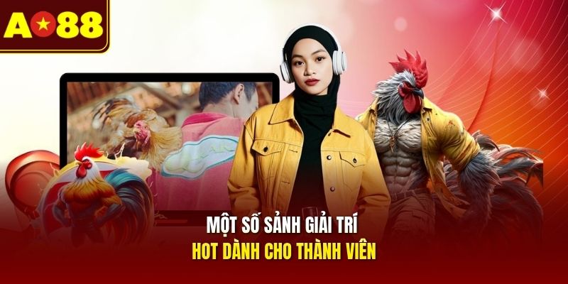 mot-so-sanh-giai-tri-hot-danh-cho-thanh-vien