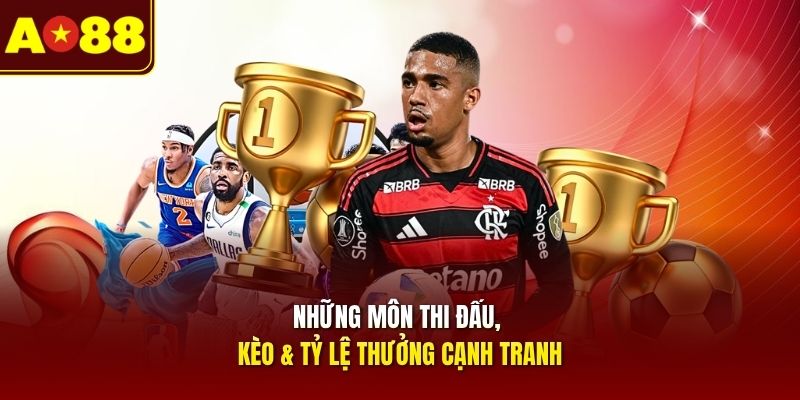 nhung-mon-thi-dau-keo-ty-le-thuong-canh-tranh
