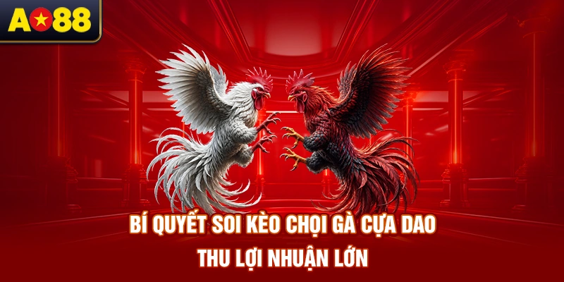 Bi-quyet-soi-keo-choi-ga-cua-dao-thu-loi-nhuan-lon