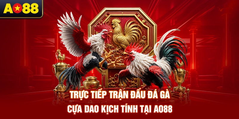 Truc-tiep-tran-dau-Da-ga-cua-dao-kich-tinh-tai-AO88