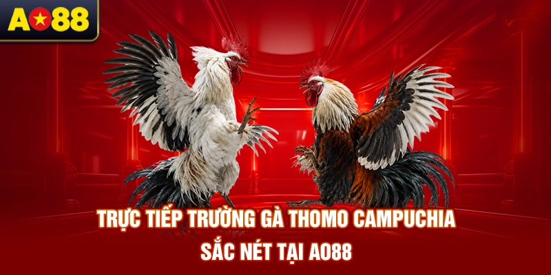 Truc-tiep-truong-ga-Thomo-Campuchia-sac-net-tai-AO88